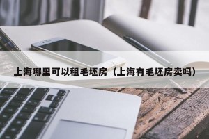 上海哪里可以租毛坯房（上海有毛坯房卖吗）