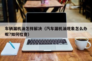 车辆漏机油怎样解决（汽车漏机油现象怎么办呢?如何检查）