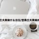 雪弗兰大黄蜂什么价位/雪佛兰大黄蜂的价格