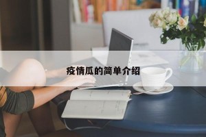 疫情瓜的简单介绍