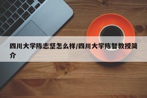 四川大学陈志坚怎么样/四川大学陈智教授简介