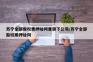 苏宁全部股权质押给阿里旗下公司/苏宁全部股权质押给阿