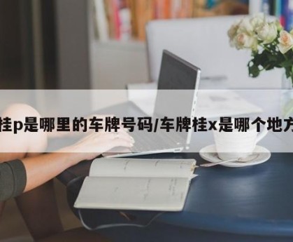 桂p是哪里的车牌号码/车牌桂x是哪个地方